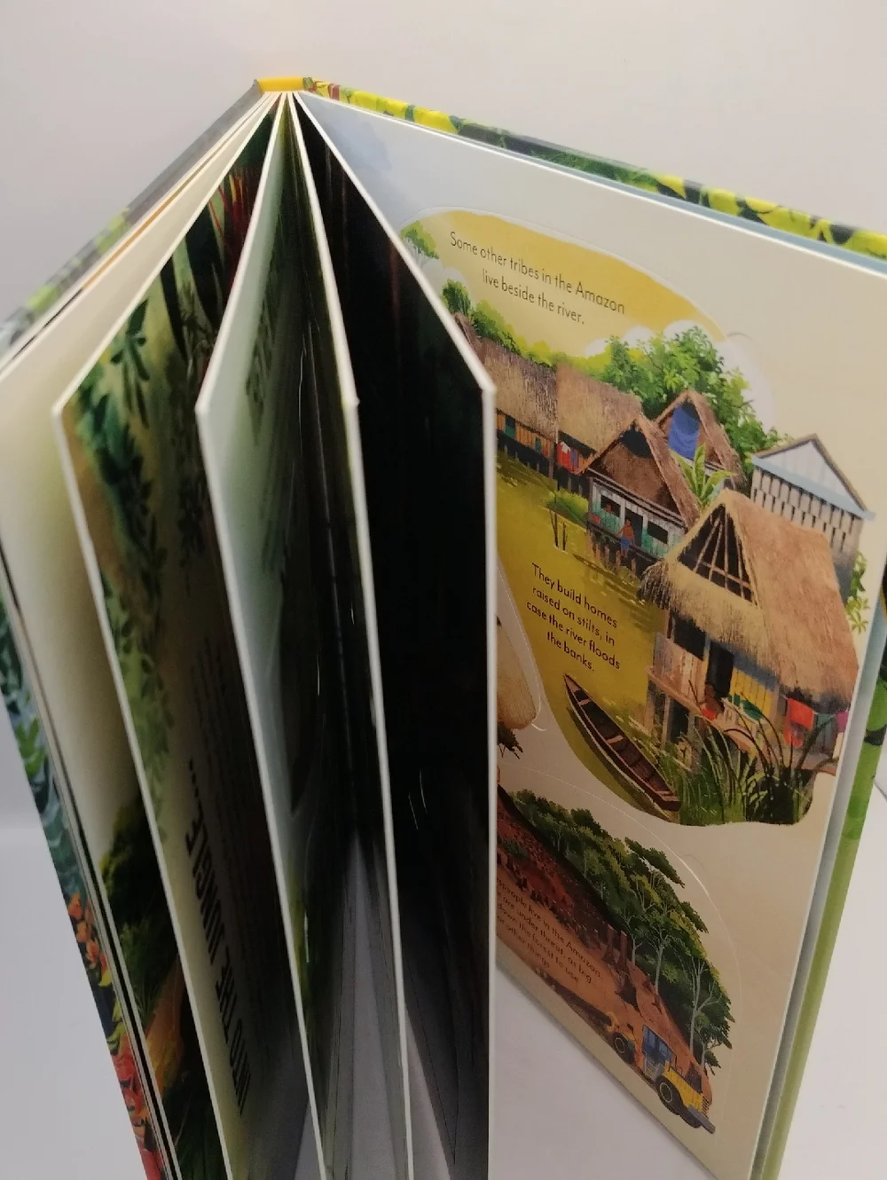 Extreme Planet Journey Through The Amazon A Lift-the-Flap Book NEW